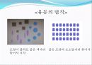 인지심리학 (2) 15페이지