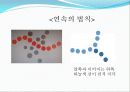인지심리학 (2) 17페이지
