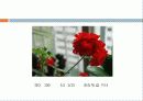스포츠경영학과 김동우 6페이지