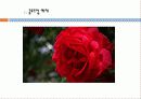 스포츠경영학과 김동우 11페이지