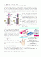 실험 33 유도기전력 4페이지