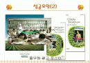 포장두부 1위 ‘풀무원’ 13페이지