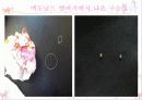 소비자 피해 및 보상사례 6페이지