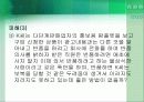 소비자 다단계 피해 사례 및 향후 시사점  10페이지