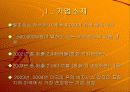 월마트의 마케팅분석 5페이지