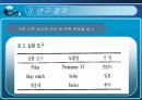 저강도유산소 운동이 선천성 심장병력을 가진 다운증후군 아동의 심폐지구력에 미치는 영향 17페이지
