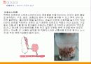 잘 먹어야 잘 산다! 9페이지