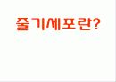 줄기세포(stem cell) 1페이지