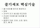 줄기세포(stem cell) 7페이지
