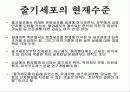 줄기세포(stem cell) 9페이지
