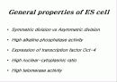 줄기세포(stem cell) 13페이지