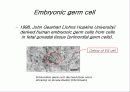 줄기세포(stem cell) 18페이지