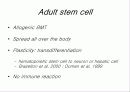 줄기세포(stem cell) 21페이지