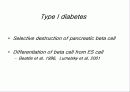 줄기세포(stem cell) 24페이지