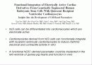 줄기세포(stem cell) 25페이지