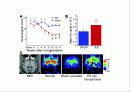 줄기세포(stem cell) 27페이지