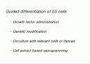 줄기세포(stem cell) 30페이지
