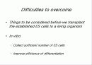 줄기세포(stem cell) 31페이지