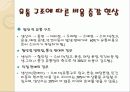 라이프스타일 변화에 따른 밀리오레(migliore)의 마케팅 8페이지