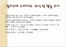 라이프스타일 변화에 따른 밀리오레(migliore)의 마케팅 12페이지