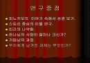 피노키오 참된 인간되기 프로젝트 3페이지