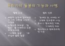 Dead Man Walking 19페이지