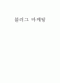 블러그 마케팅 1페이지