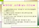 이순신 승리의 리더십 5페이지