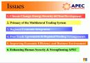 APEC (2007·2008)Outcomes&Outlook 3페이지