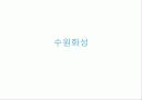 수원화성에 대하여 1페이지