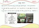 네덜란드와 싱가포르의  주거제도 7페이지