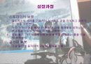 [공학 및 전공의 이해] 보봇 활용하기 3페이지