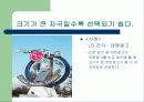 소비자들에 의해 선택되기 쉬운 자극이 갖추어야 할 성질 7페이지
