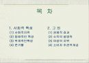 소비자행동의 결정인자로서 사회계층의 제한점 2페이지