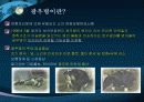 광우병 보고서 3페이지