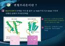 광우병 보고서 4페이지