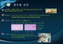 광우병 보고서 6페이지