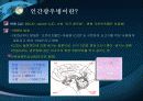 광우병 보고서 7페이지