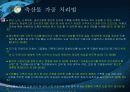 광우병 보고서 9페이지