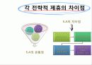 항공사간 전략적 제휴의 추이와 전망1 11페이지