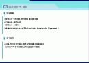 샴푸 소비증가에 따른 브랜드 인식에 대한 조사 8페이지