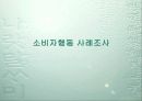 소비자행동 사례조사 1페이지