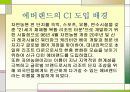 에버랜드의 CI 적용 사례  3페이지