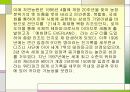 에버랜드의 CI 적용 사례  9페이지
