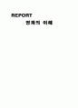 영화의 이해 바람 1페이지