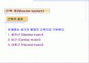 근육 계(Musular system) 1페이지