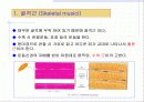 근육 계(Musular system) 2페이지
