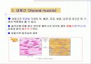 근육 계(Musular system) 4페이지