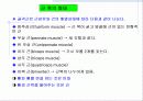 근육 계(Musular system) 9페이지