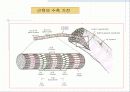 근육 계(Musular system) 12페이지